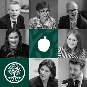 A grid of all the RMW Law team